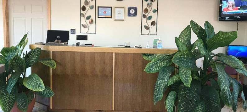 三叶草乡村酒店(Shamrock Country Inn)图片