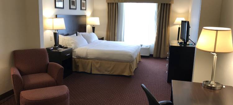 Holiday Inn Express 雪城，展览会场(Holiday Inn Express Syracuse-Fairgrounds)图片