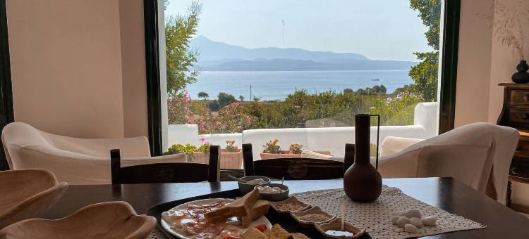 尼赛亚萨摩斯酒店(Nisea Hotel Samos)图片