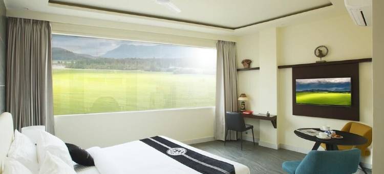 莫汉郁金香酒店(Mohan Tulip Hotel)图片