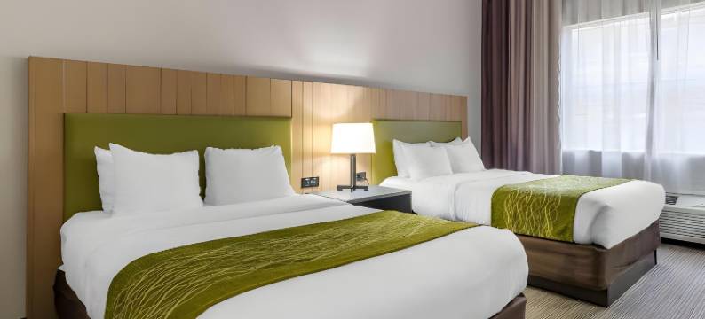 舒适酒店及套房卡特斯维尔 - 埃默森湖点(Comfort Inn & Suites Cartersville - Emerson Lake Point)图片