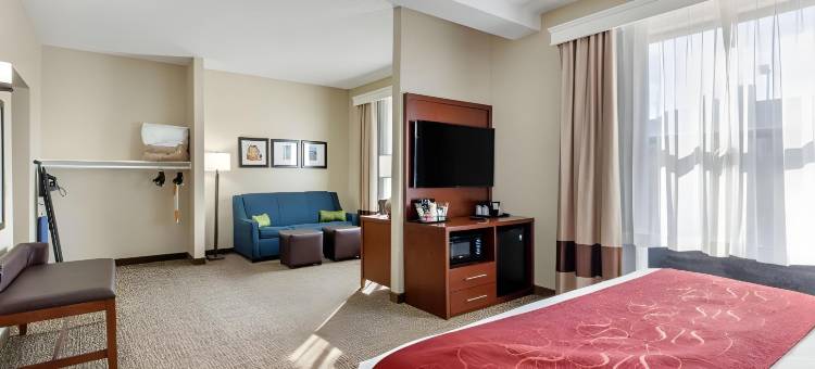 纳什维尔舒适套房酒店(Comfort Suites)图片
