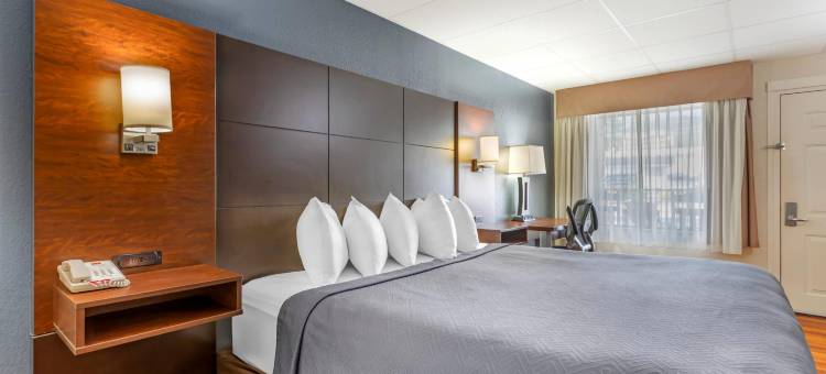 会议中心伊克诺套房酒店(Econo Lodge Inn & Suites Gatlinburg at the Convention Center)图片