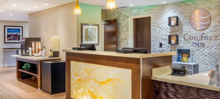 Spark by Hilton 亚特兰大机场南科利奇帕克(Spark by Hilton Atlanta Airport South College Park)图片