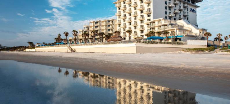 海岸温泉度假酒店(The Shores Resort & Spa)图片