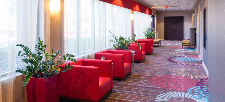 代托纳赛道机场欢朋酒店(Hampton Inn Daytona Beach-Speedway/Airport)图片