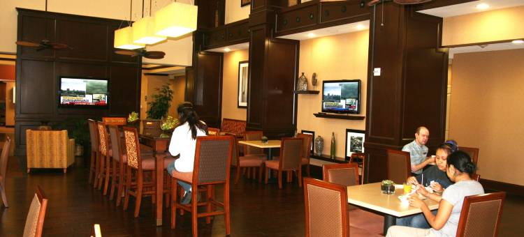 纽布朗费尔斯欢朋套房酒店(Hampton Inn & Suites New Braunfels)图片