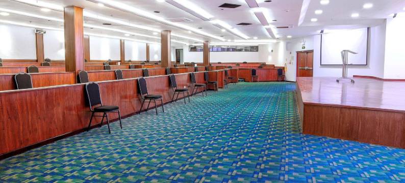 丽筠波哥大都会酒店(Radisson Bogota Metrotel)图片