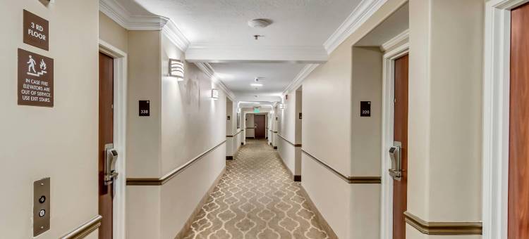 盐湖城南-墨累舒适酒店(Comfort Inn Murray – Salt Lake City South)图片