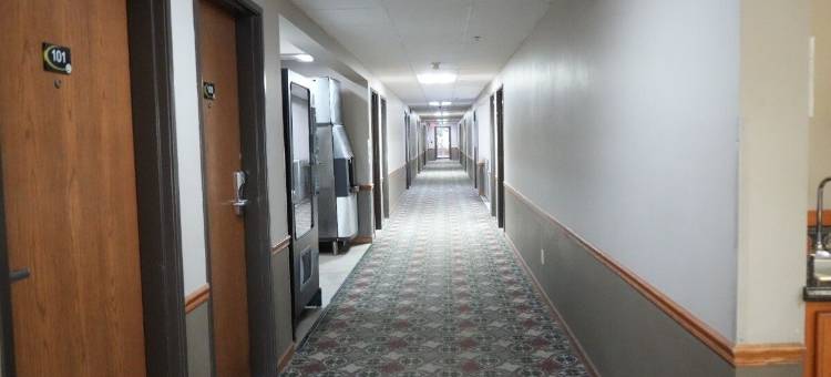 沃齐卡速8酒店(Super 8 by Wyndham Watseka)图片