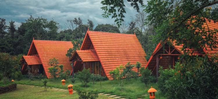铜边缘生态度假村，库尔格(Copper Edge - Eco Resort, Coorg)图片