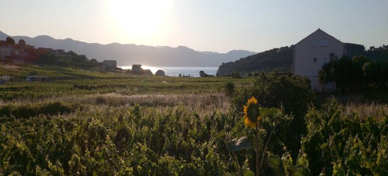 Holiday Home Kata - Two-Bedroom Holiday Home with Balcony图片