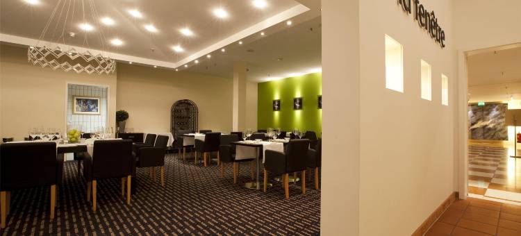 法兰克福瑞拉科萨酒店总店(Relexa Hotel Frankfurt am Main (Superior))图片