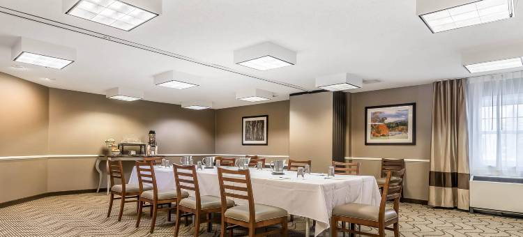 舒适酒店(Comfort Inn)图片