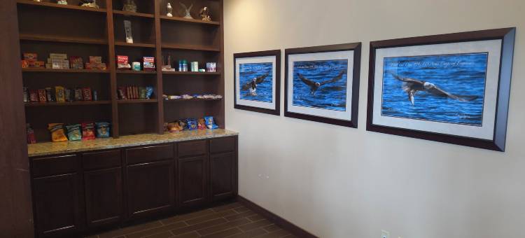 梅恩斯泰套房酒店勒克莱尔 - 四城地区(MainStay Suites LeClaire - Quad Cities)图片