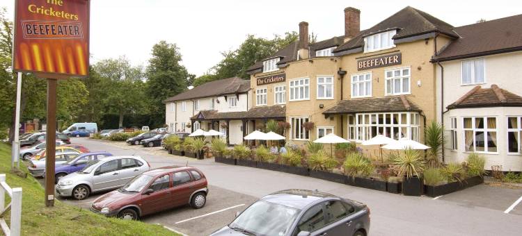 巴格肖特普瑞米尔酒店(Premier Inn Bagshot)图片