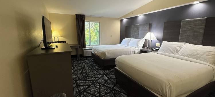 金斯顿普利茅斯湾呗盟套房酒店(Plymouth Bay Inn)图片