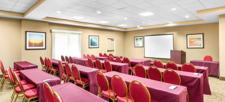 奥兰多机场舒适套房酒店(Comfort Suites Orlando Airport)图片