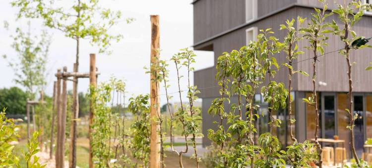 Greet 雷恩帕塞酒店(Greet Hotel Rennes Pacé)图片