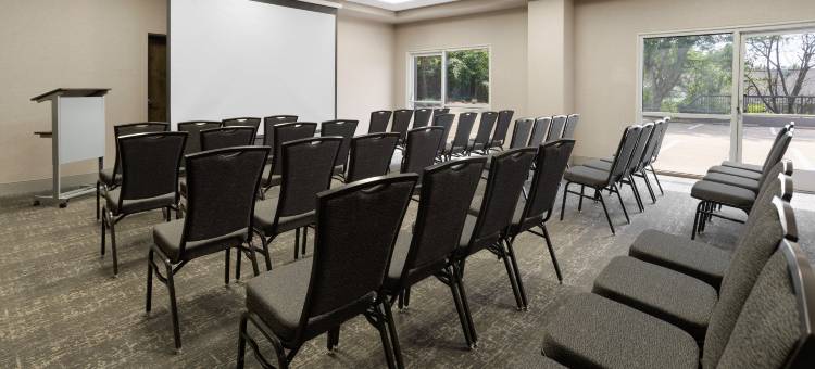 纳什维尔机场皇冠假日酒店(洲际酒店集团旗下)(Crowne Plaza NASHVILLE AIRPORT by IHG)图片