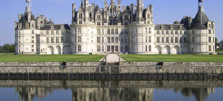 美居索洛尼奥尔良门酒店(Hôtel Mercure Orléans Portes de Sologne)图片