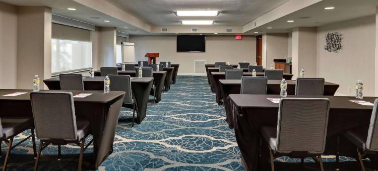 圣安东尼奥机场德鲁里套房酒店(Wyndham Garden San Antonio Airport Northeast)图片