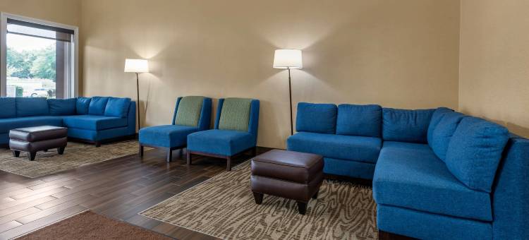 舒适酒店及套房格伦米尔斯 - 西切斯特(Comfort Inn & Suites Glen Mills - West Chester)图片