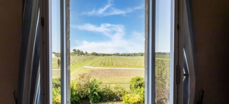 Elegant Château Escape图片