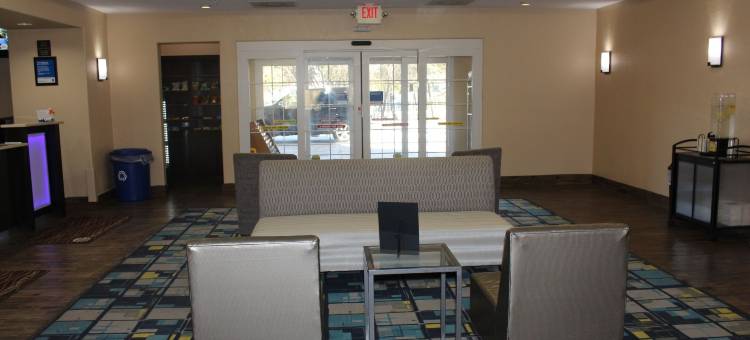 靠近六旗及医疗中心舒适酒店及套房(Comfort Inn & Suites Near Six Flags & Medical Center)图片