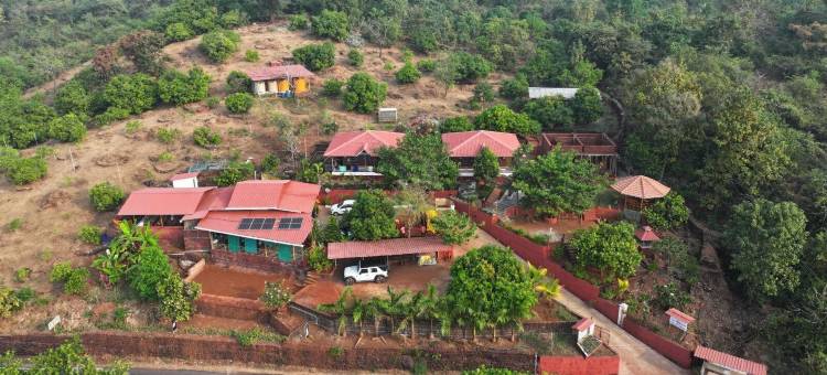 阿方索芒果郡(The Alphonso Mango County)图片