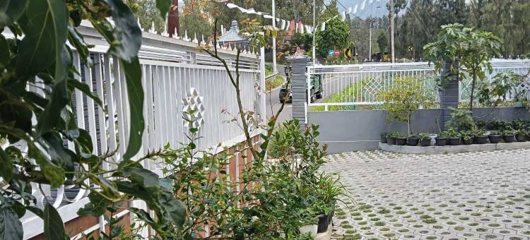 布罗莫普尔莫旅馆(Pulmo Guesthouse Bromo)图片