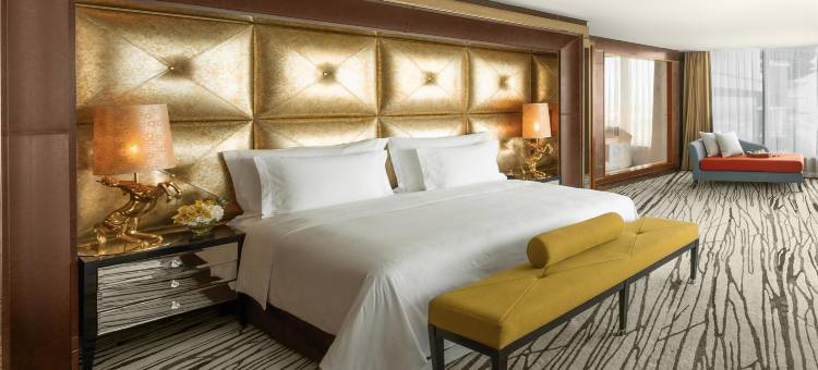 美伊丹酒店(The Meydan Hotel)图片