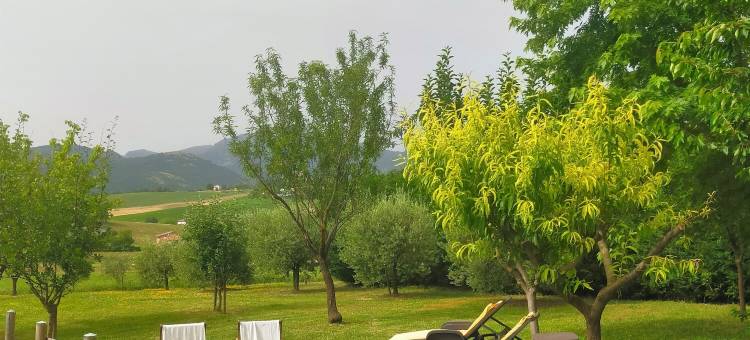 曼萨德威蒂酒店(Mansarda Viti)图片