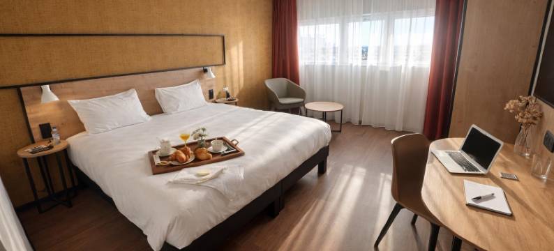 巴黎朗吉斯奥利机场宜必思(Ibis Rungis Airport Paris Orly)图片