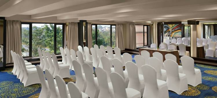 费恩卡丹巴水疗酒店 -万豪系列(The Fern Kadamba Hotel & Spa Goa, Panjim, Series by Marriott)图片