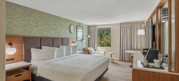 Kozy Hotel Dallas DFW Airport Area West图片