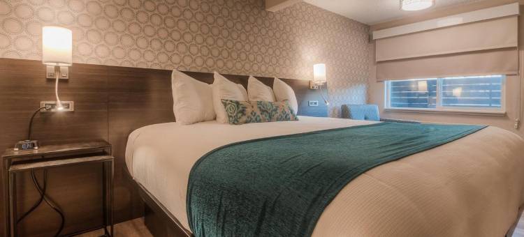 Y酒店，达兹勒精选温德姆(The Hotel Y, a Dazzler Select by Wyndham)图片