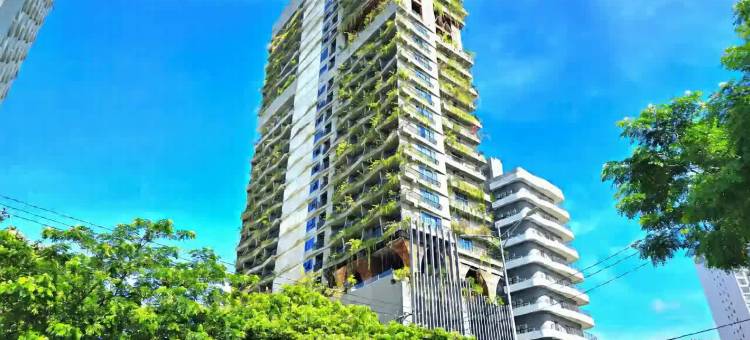 西格尼酒店芽庄(The Signature Hotel Nha Trang)图片