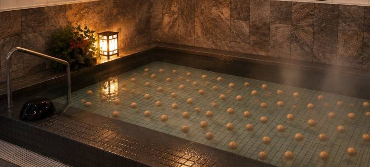 武生皇冠山酒店(Hotel Crown Hills Takefu)图片