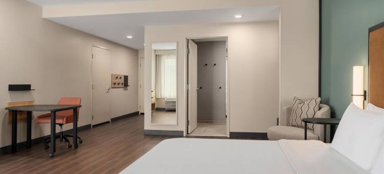 希尔顿哥伦比亚格雷斯通的LivSmart开间(LivSmart Studios by Hilton Columbia Greystone)图片