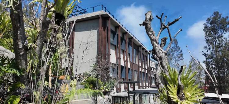 詹布卢武克布罗莫高级旅舍(Jambuluwuk Bromo Poshtel)图片