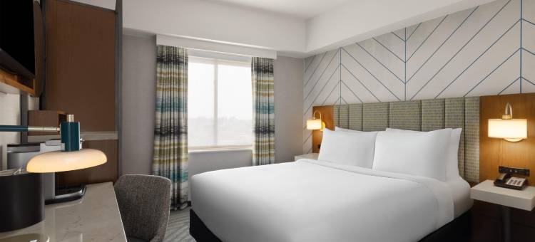 纽约长岛市希尔顿欢朋酒店(Hampton Inn by Hilton Long Island City New York)图片