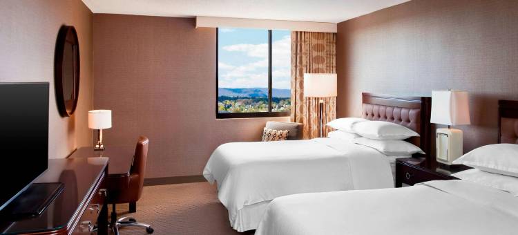 哈里斯堡/赫尔希喜来登酒店(Sheraton Harrisburg Hershey Hotel)图片