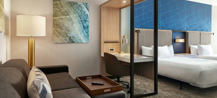 弗雷德里卡SpringHill Suites酒店(SpringHill Suites Frederica)图片