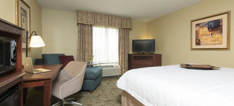 诺尔玛布卢明顿欢朋套房酒店(Hampton Inn & Suites Bloomington-Normal)图片