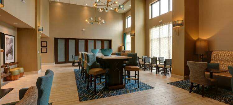 希尔顿坦帕布什花园区欢朋酒店及套房(Hampton Inn and Suites by Hilton Tampa Busch Gardens Area)图片