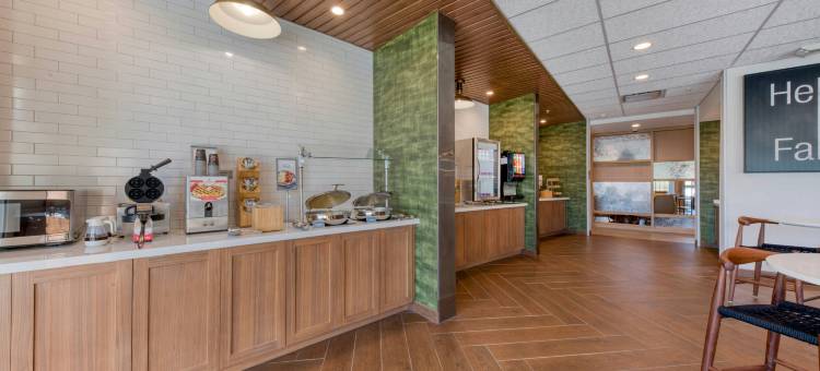 夏洛特贝尔蒙特万枫套房酒店(Fairfield Inn & Suites Charlotte Belmont)图片