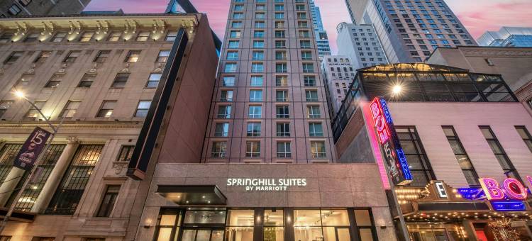 纽约曼哈顿时代广场南万豪春季山丘套房酒店(SpringHill Suites New York Manhattan Times Square)图片
