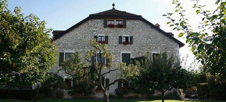 沙特维耶庄园(Domaine de Châteauvieux)图片