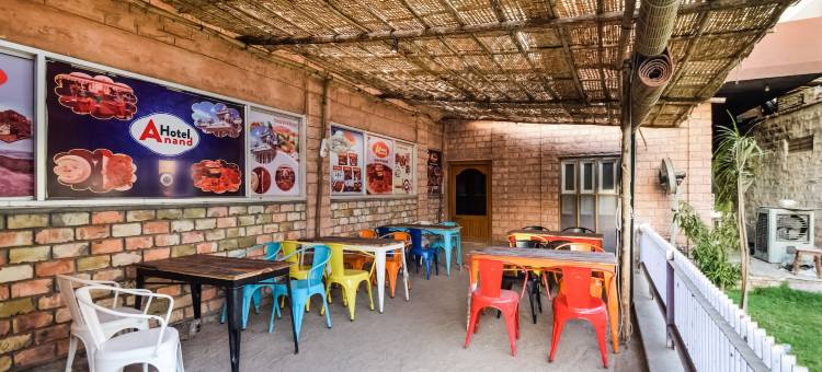 焦特布尔O阿南德酒店(Hotel O Anand Hotel Jodhpur)图片